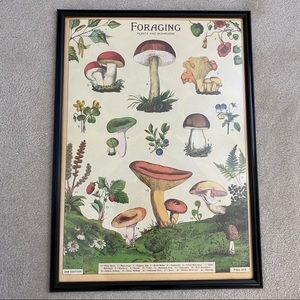 Cavallini Foraging Plants & Mushrooms 20” x 28” Poster